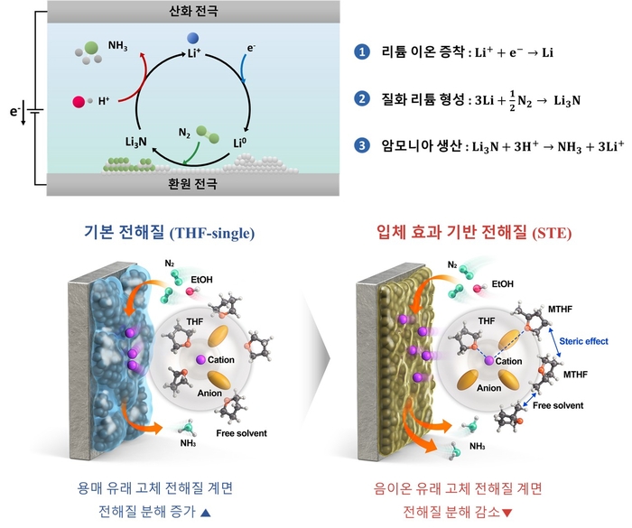 리튬 매개 질소 환원 메커니즘(위)과 입체 효과 도입한 전해질의 반응 메커니즘 모식도 (아래)