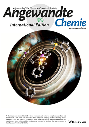 Angewandte Chemie International Edition Back Cover 이미지