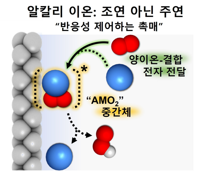 '구경꾼 이온' 알칼리 금속, 촉매 역할 가능성 확인