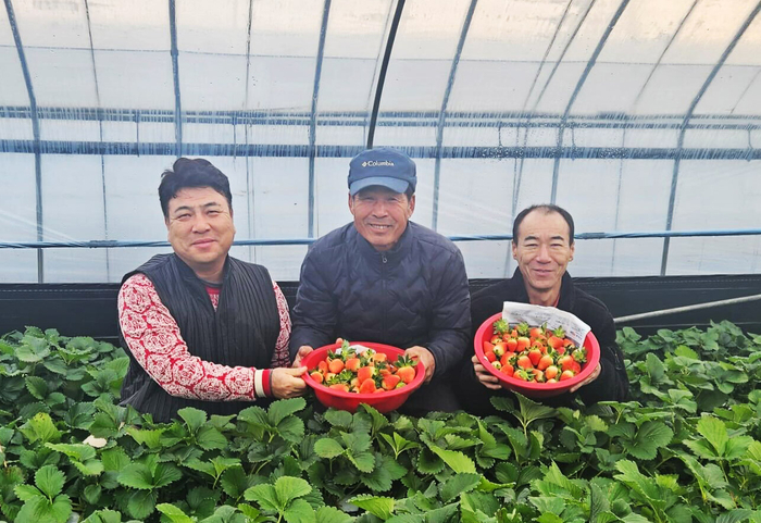 쿠팡에 딸기를 납품하는 경남 밀양시 열매영농조합법인 농민들. [자료:쿠팡]