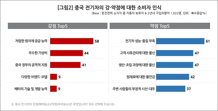 중국 전기차 강 · 약점에 대한 소비자 인식. (표: 컨슈머인사이트)