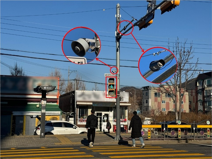 대구시 달성군 포산초등학교 앞 횡단보도에 설치된 스마트횡단보도 현장