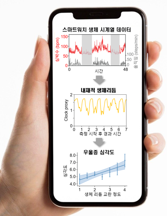 연구 결과 모식도. 연구진은 스마트워치로 수집한 생체 데이터를 기반으로 뇌 속 생체시계 위상과 수면 단계를 추정하는 역문제 해결 수학적 알고리즘을 개발했다.