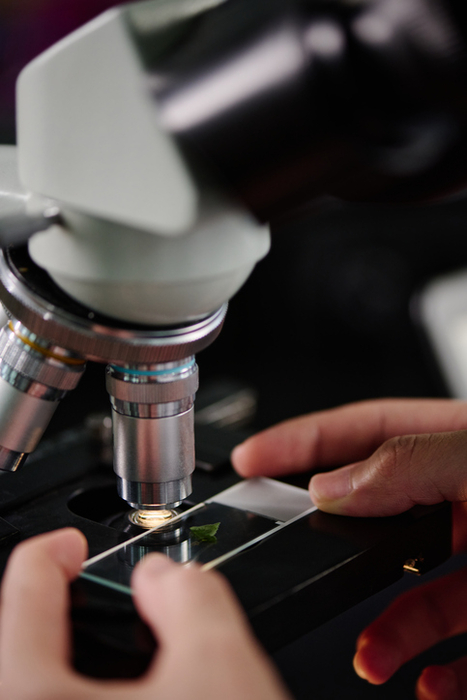 중견기업 R&D 예산 53% 증액 534억…신규 과제 31개 선정