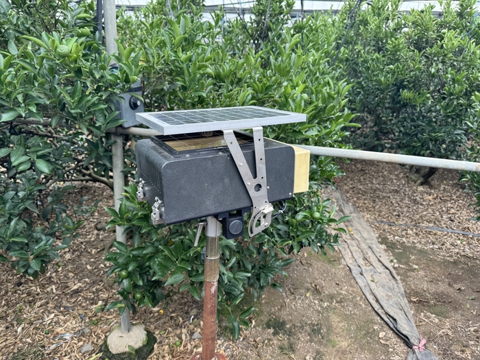 2024년 산학연지원사업(오토롤트랩) 현장.(사진=농진원)