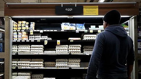 미국 시애틀 한 식료품점의 계란 판매대. 사진=AP 연합뉴스