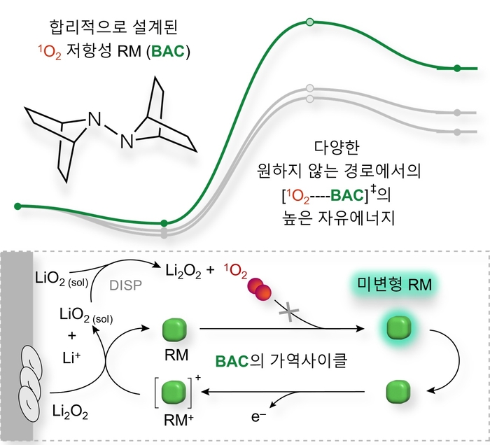 아주대, 산화·환원 매개체의 활성산소 과다 환경에서의 안정성 설명 이미지.