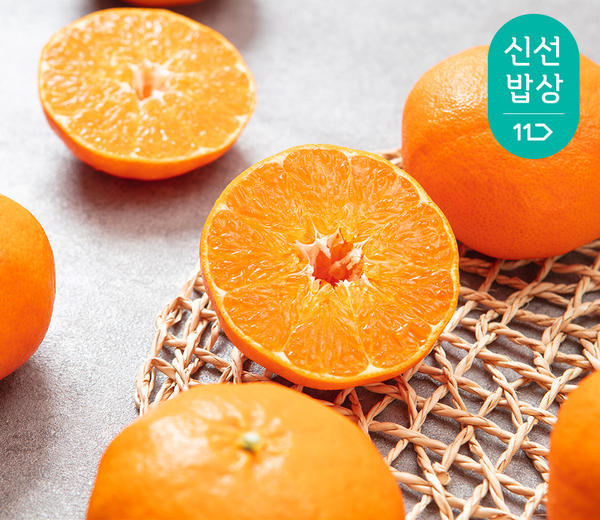 제주농협귤로장생 레드향
