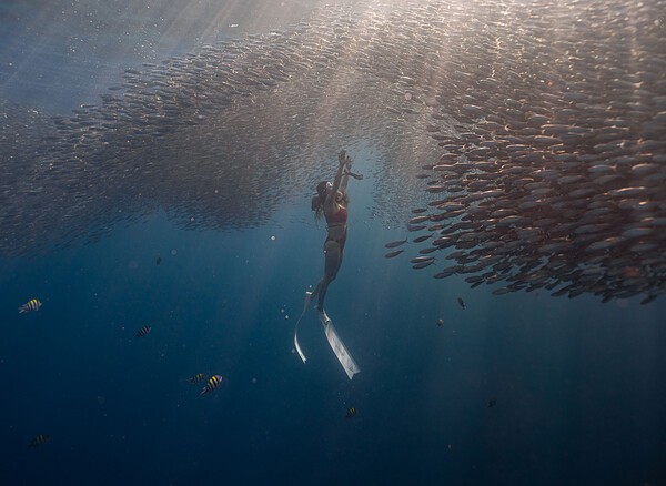 사진= 하나투어