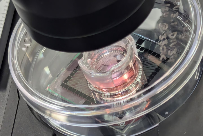 호주 스타트업 코티컬 랩스가 인간 뉴런을 탑재한 '바이오 컴퓨터'를 개발했다. 사진=코티컬 랩스/뉴아틀라스 캡처