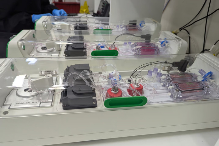 호주 스타트업 코티컬 랩스가 인간 뉴런을 탑재한 '바이오 컴퓨터'를 개발했다. 사진=코티컬 랩스/뉴아틀라스 캡처