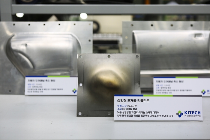 유연성형기술로 제작한 두개골 임플란트 및 성형 샘플