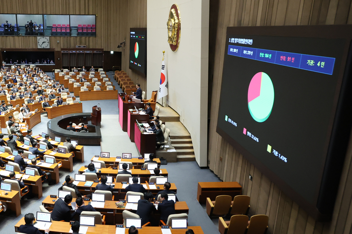 13일 국회 본회의에서 상법 일부개정법률안이 통과되고 있다.  (사진=연합뉴스)