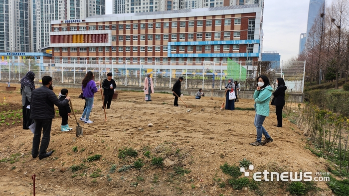 인천경제청이 송도 행복텃밭 가꾸기 사업을 실시하고 있는 모습.