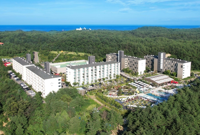 [펫가족 여행박람회] 더앤리조트, '더앤 펫츠룸' 소개