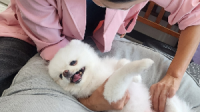기사 썸네일