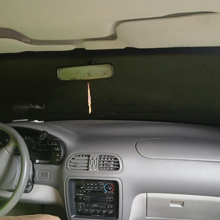 Photo Image