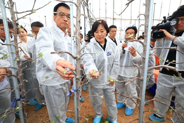 최상목 부총리 겸 기획재정부 장관과 송미령 농림축산식품부 장관이 9일 충남 예산군의 사과 과수원을 방문해 스마트 과수원 조성 현황과 생육 상황을 점검했다. (사진=농림축산식품부)