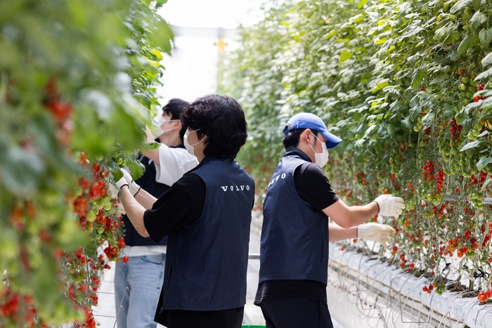 푸르메소셜팜 봉사활동에 참가한 볼보자동차코리아 임직원들.