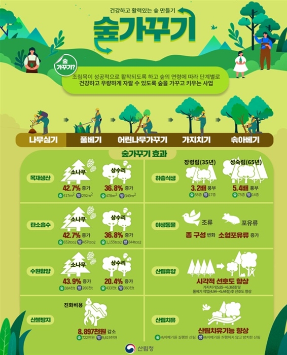 숲가꾸기 효과 포스터(자료 산림청)