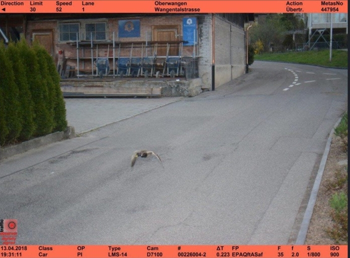 Photo Image