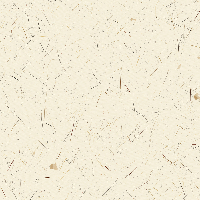 한지.(출처=게티이미지뱅크)