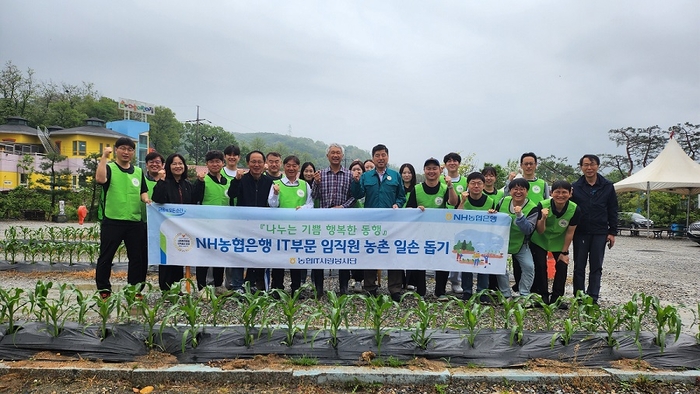 NH농협은행 IT부문(IT사랑봉사단) 임직원들이 경기도 의왕시 화훼농가에서 일손돕기 행사를 진행하고 있다. 사진=NH농협은행