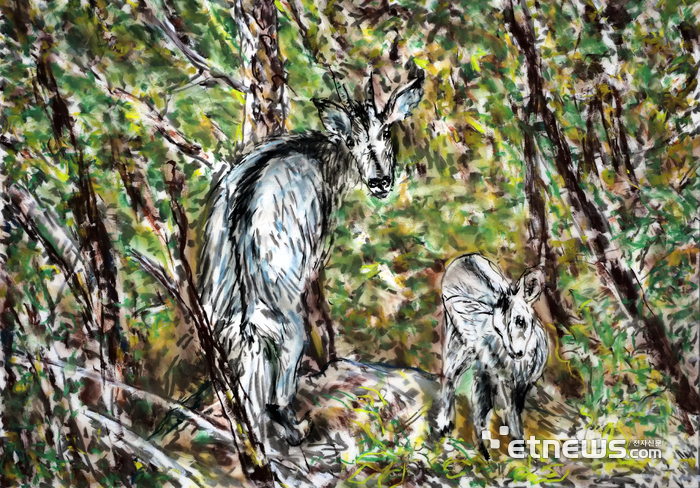 파주 DMZ 문화예술공간 '통'에서 개최하는 'Accidental Nature|우연적 자연' 전시 작품.