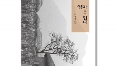 기사 이미지