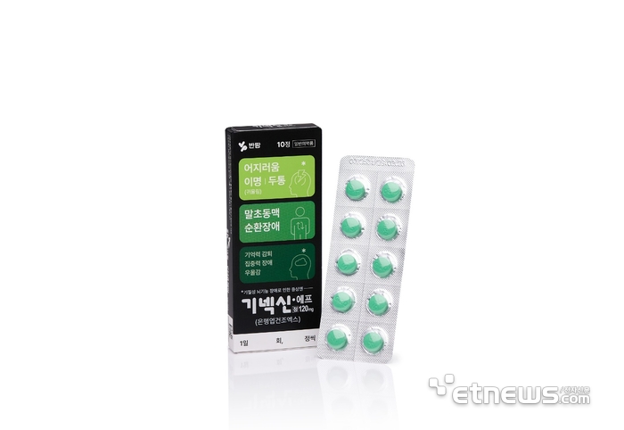 기넥신에프정 120mg 10정