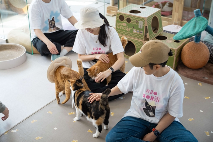 토스뱅크 임직원, 동물자유연대 동물 보호센터 찾아 봉사활동 진행