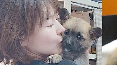 기사 썸네일