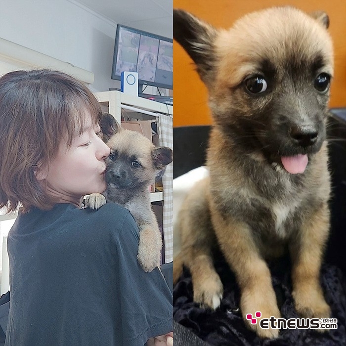예지원, 산불 피해 구조로 입양한 반려견 이름은 ‘미자’