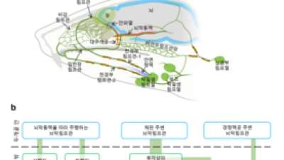 기사 썸네일
