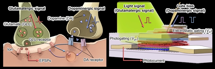 로봇 비전 센서 구성 소자인 광트랜지스터 구조