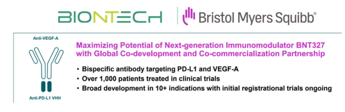 미국 제약사 브리스톨 마이어스 스퀴브(BMS)가 독일 바이오엔테크와 차세대 암 면역요법 개발을 위해 최대 111억달러(약 15조2400억원)의 계약을 체결했다.
