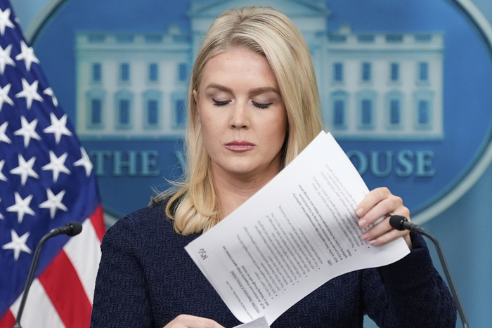 캐롤라인 레빗 미국 백악관 대변인. 사진=AP 연합뉴스