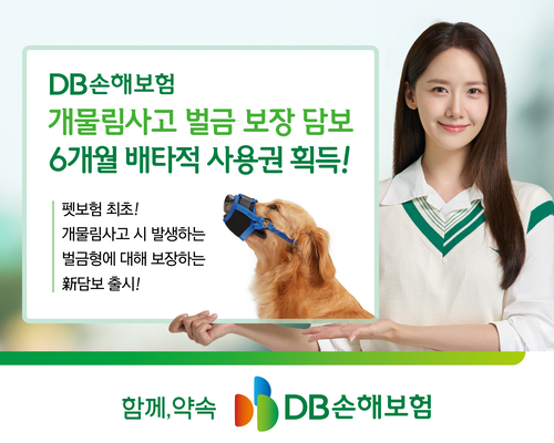사진=DB손해보험