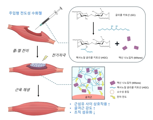 “주사 한 방으로 손상된 근육을 살린다”…GIST-충남대, '주입형 전도성 수화젤' 개발