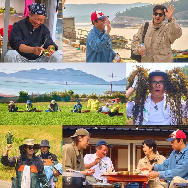 '제철남자' 첫 스틸 공개…좌충우돌 리얼 섬 이야기