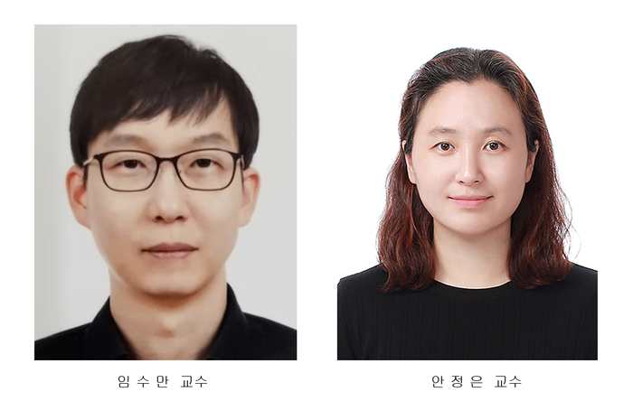 전북대 연구팀.