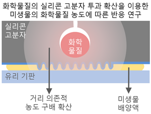 식품연, 미생물 이동·증식·유전자발현 조절하는 '주름 표면' 개발