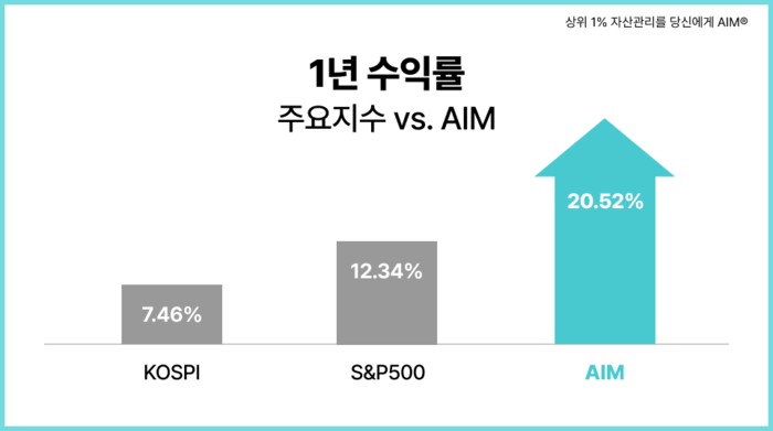에임