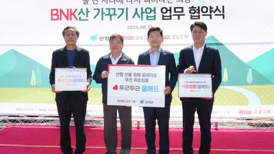 기사 썸네일