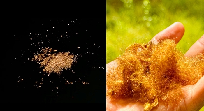 시실크로 만든 금빛 파우더(왼쪽)와 시실크