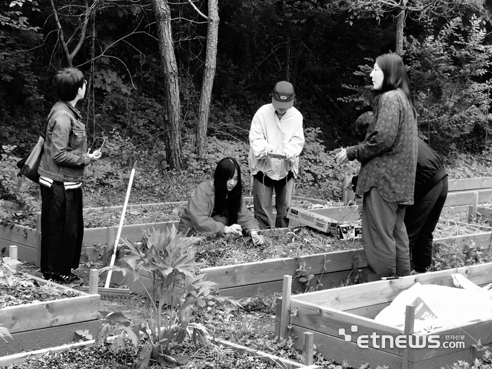 경기문화재단이 '경기 지역문화 활성화 지원' 공모사업의 일환으로 가평 '산으로 가는 길' 프로젝트를 진행하는 모습.