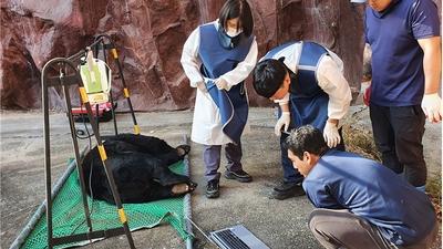 기사 썸네일