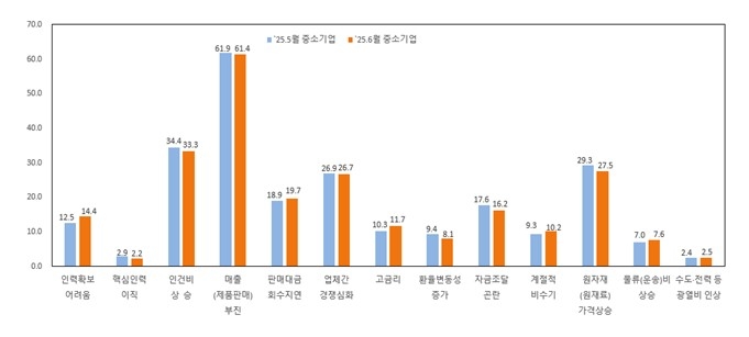 중소기업 경영상 애로사항(%), 복수응답. 〈출처:중기중앙회〉