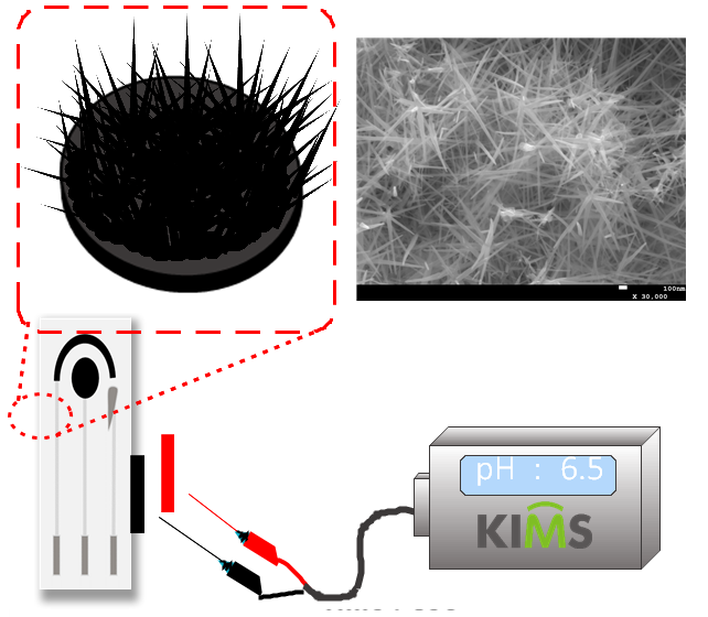 IrOx 나노 바늘 기반 고성능 박막형 pH 센서 기술 개요.