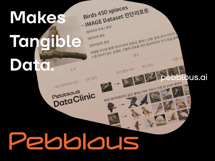 페블러스 '데이터 클리닉' 솔루션, 조달청 혁신제품 지정